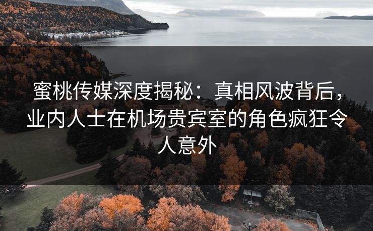 蜜桃传媒深度揭秘：真相风波背后，业内人士在机场贵宾室的角色疯狂令人意外